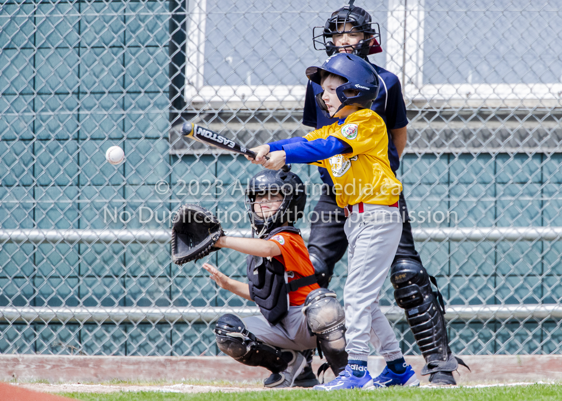 national little league baseball rookie  isn  doug hudlin erich eichhorn