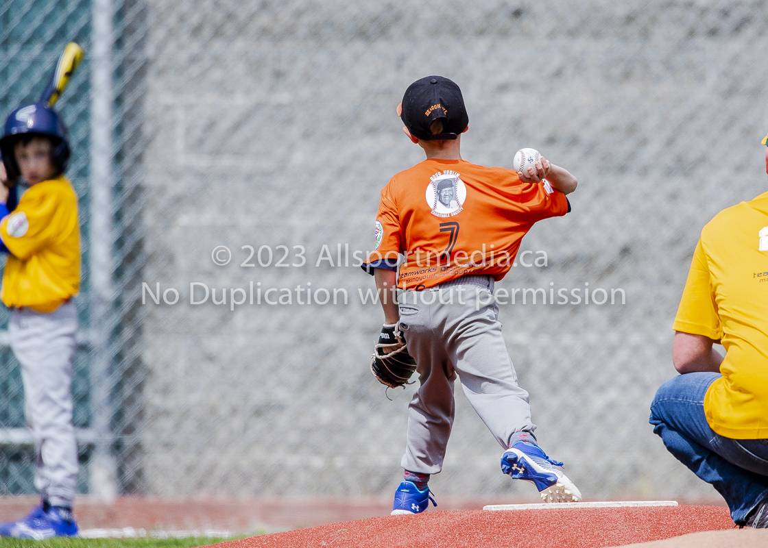 national little league baseball rookie  isn  doug hudlin erich eichhorn