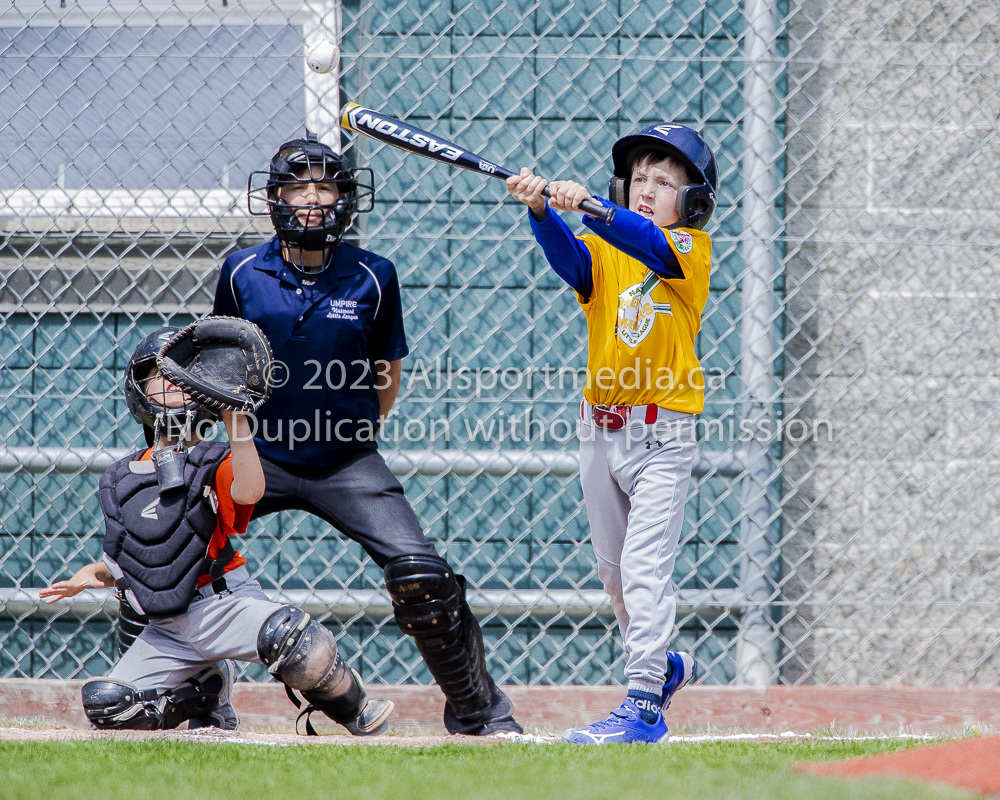 national little league baseball rookie  isn  doug hudlin erich eichhorn