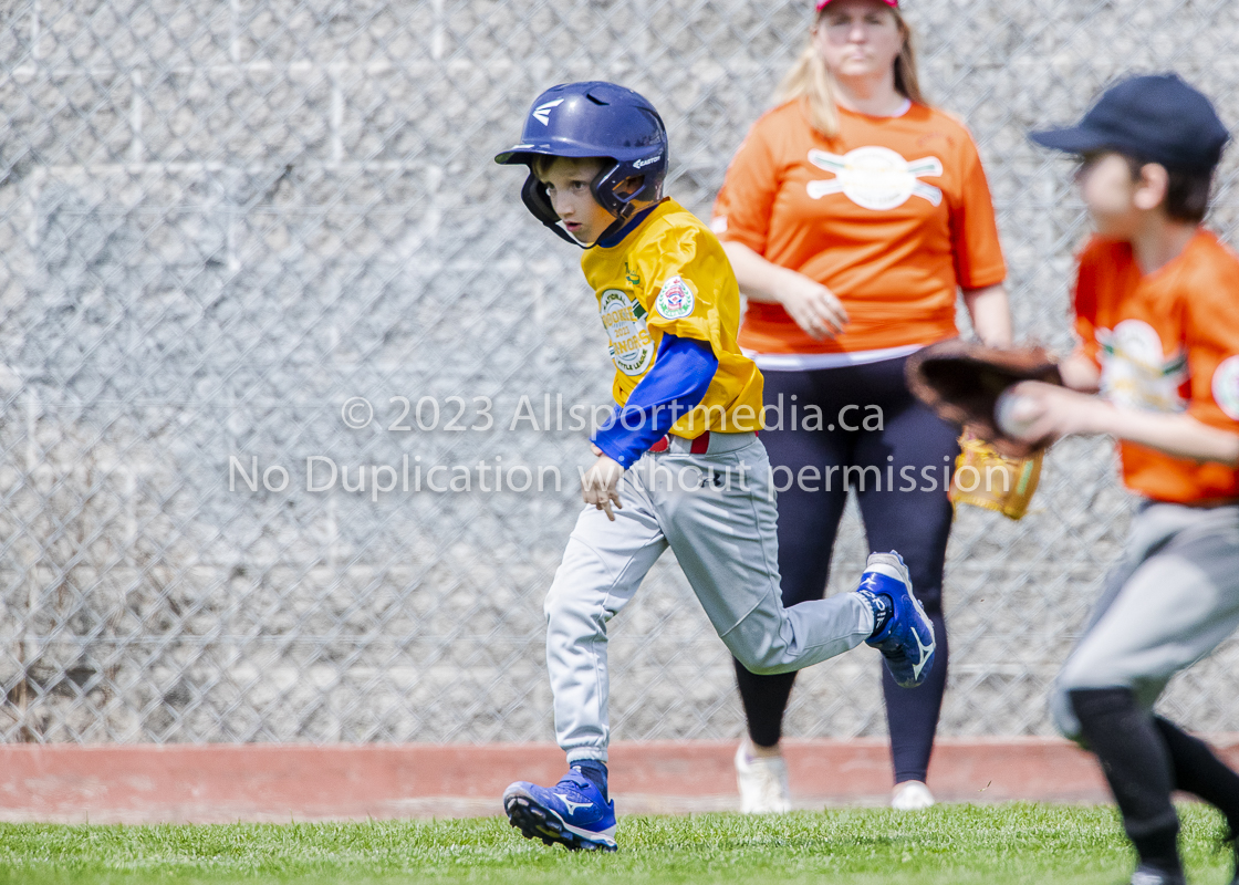 national little league baseball rookie  isn  doug hudlin erich eichhorn