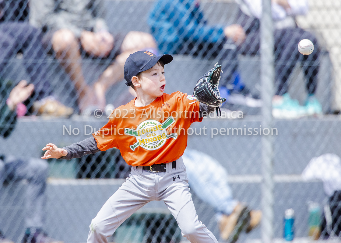 national little league baseball rookie  isn  doug hudlin erich eichhorn