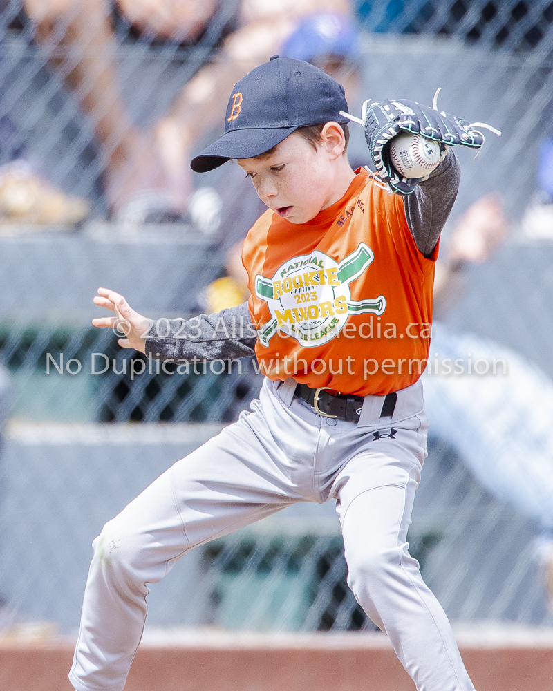 national little league baseball rookie  isn  doug hudlin erich eichhorn