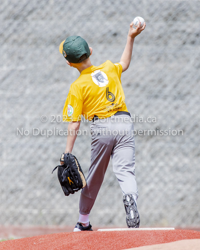 national little league baseball rookie  isn  doug hudlin erich eichhorn