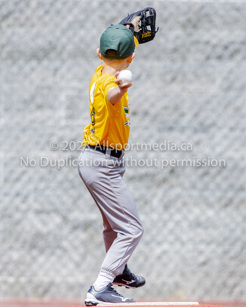 national little league baseball rookie  isn  doug hudlin erich eichhorn