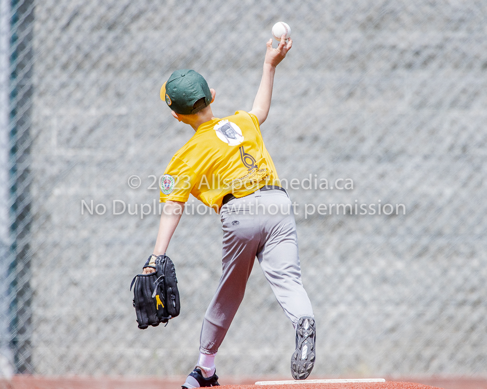 national little league baseball rookie  isn  doug hudlin erich eichhorn