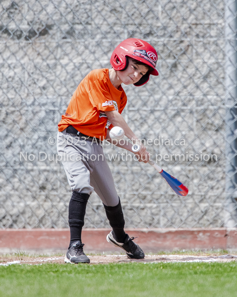 national little league baseball rookie  isn  doug hudlin erich eichhorn