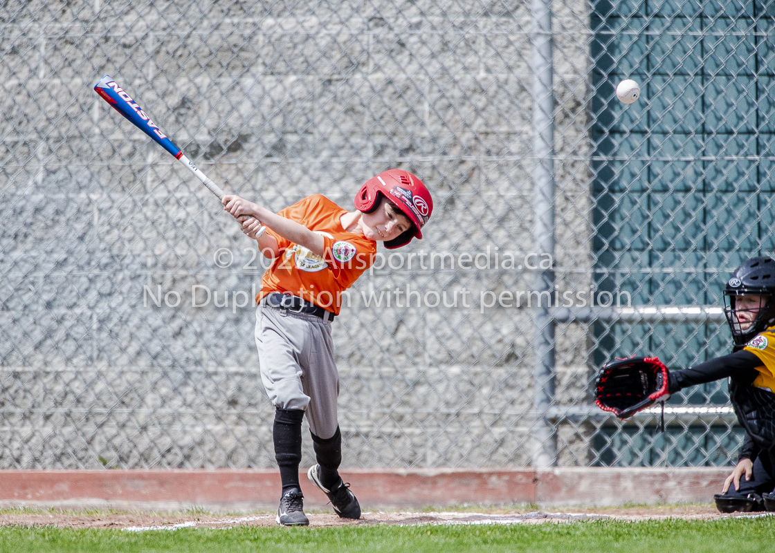 national little league baseball rookie  isn  doug hudlin erich eichhorn