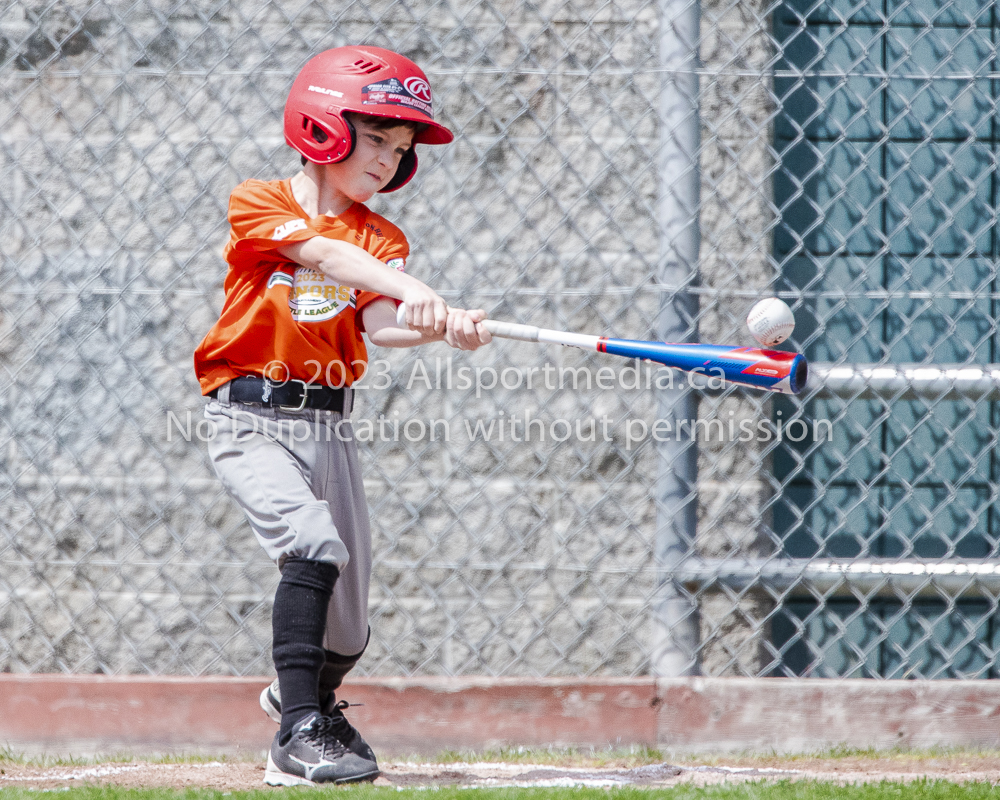 national little league baseball rookie  isn  doug hudlin erich eichhorn