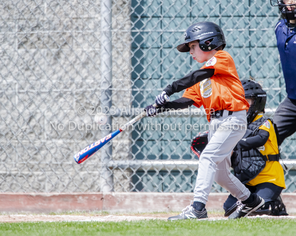 national little league baseball rookie  isn  doug hudlin erich eichhorn