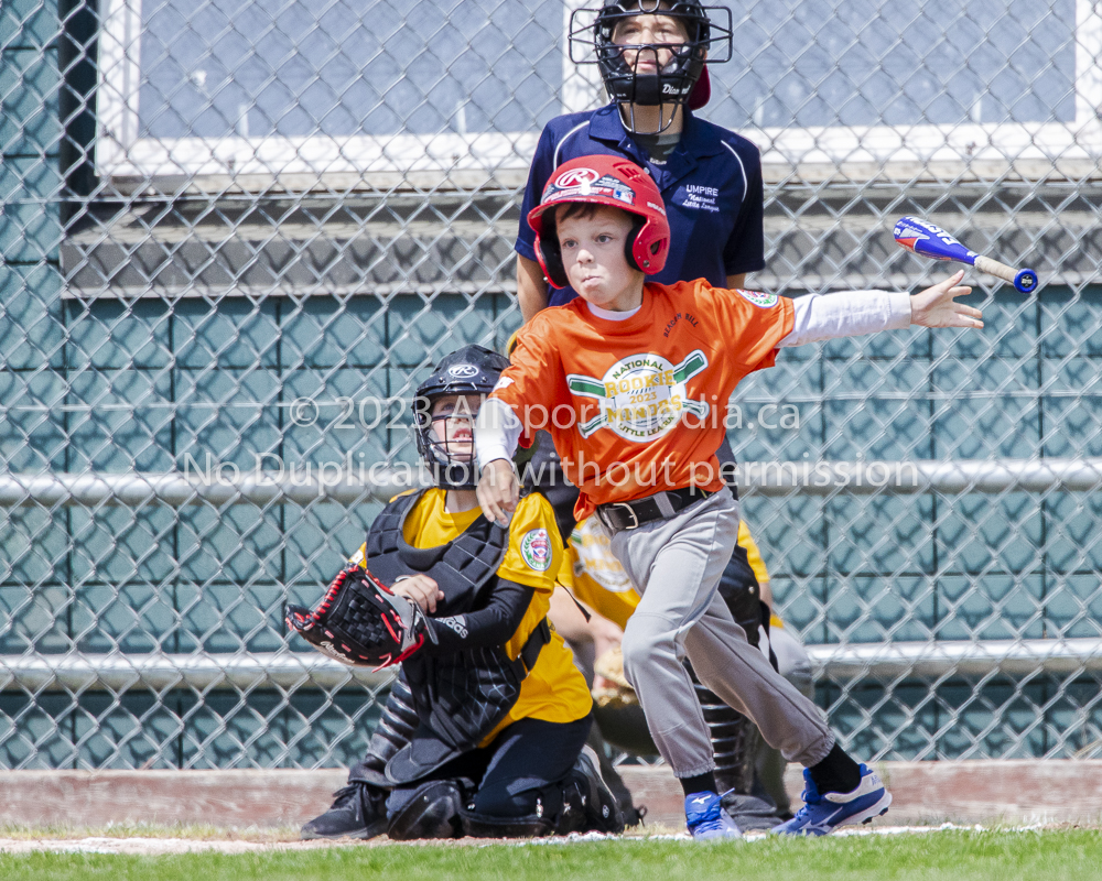 national little league baseball rookie  isn  doug hudlin erich eichhorn