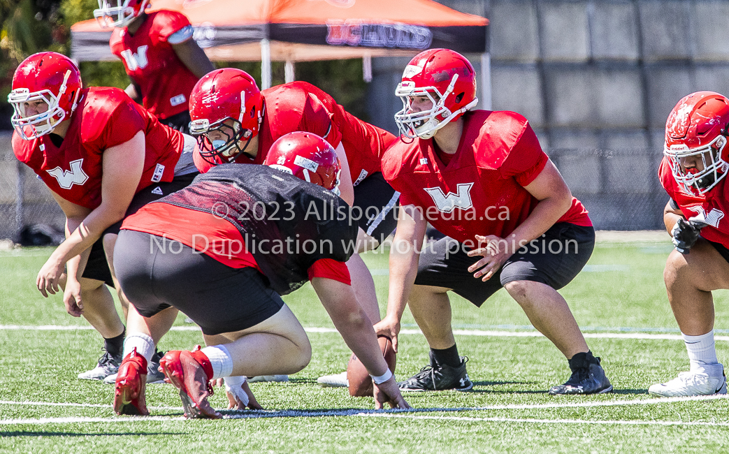 Allsportmedia;Canadian Junior Football League;ISN;Sports