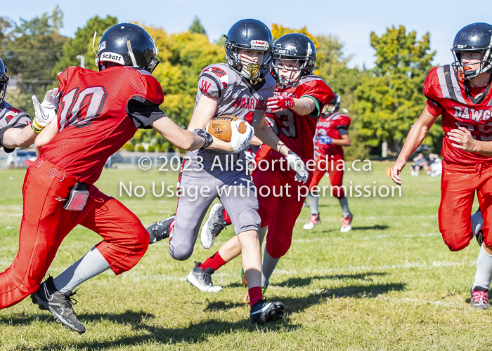 Westshore warriors Harwood Dawgs  VICFA