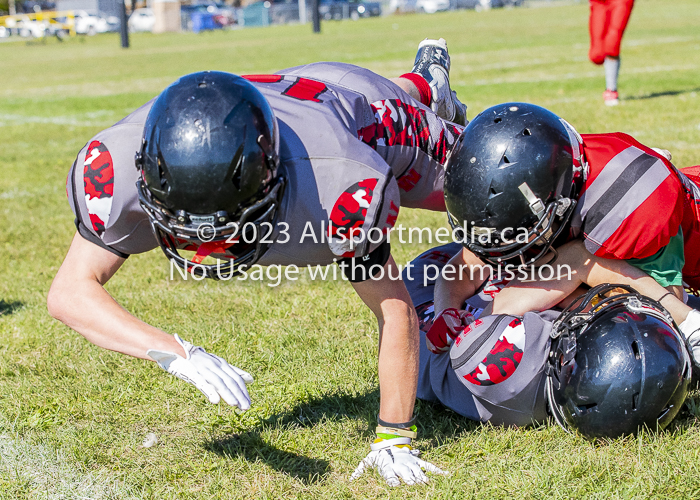 Westshore warriors Harwood Dawgs  VICFA