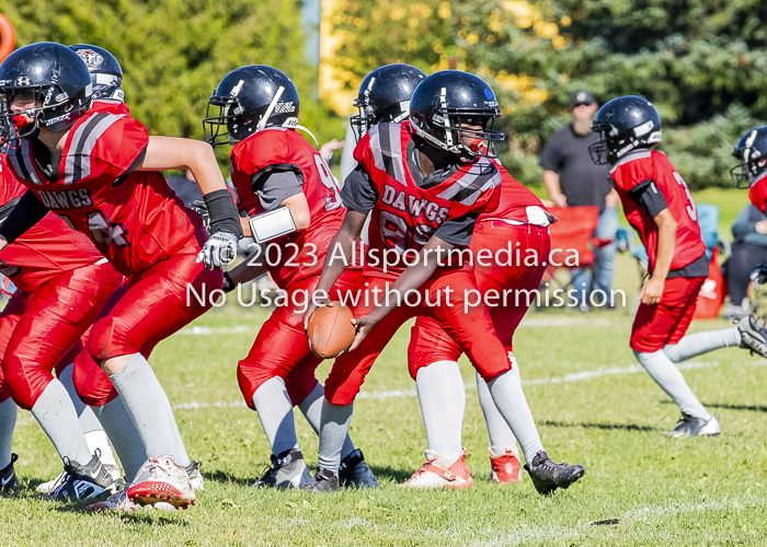 Westshore warriors Harwood Dawgs  VICFA