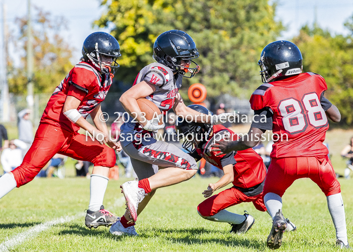 Westshore warriors Harwood Dawgs  VICFA