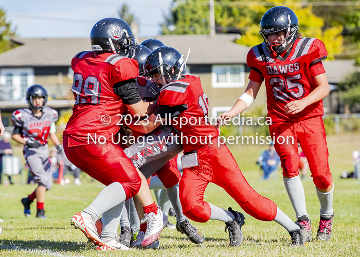 Westshore warriors Harwood Dawgs  VICFA