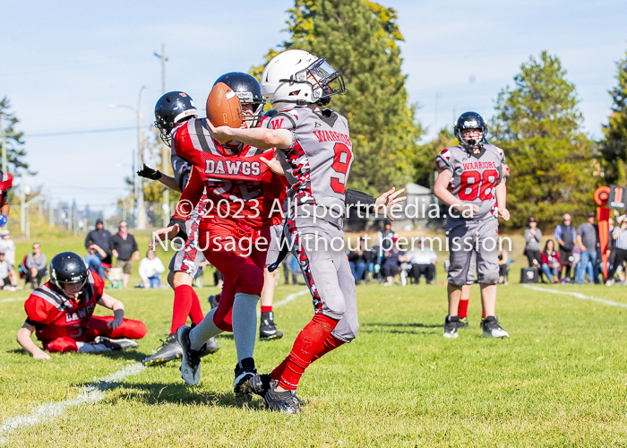 Westshore warriors Harwood Dawgs  VICFA