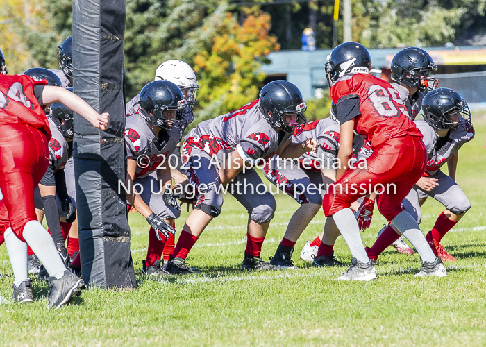 Westshore warriors Harwood Dawgs  VICFA