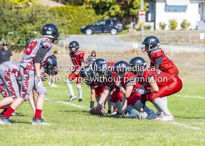 Westshore warriors Harwood Dawgs  VICFA