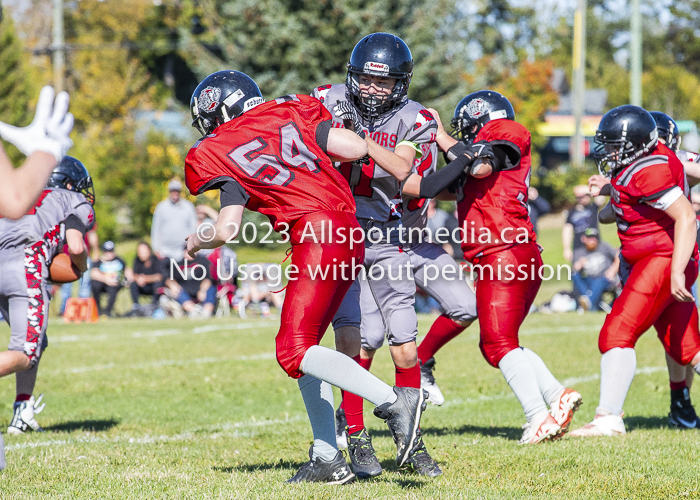 Westshore warriors Harwood Dawgs  VICFA