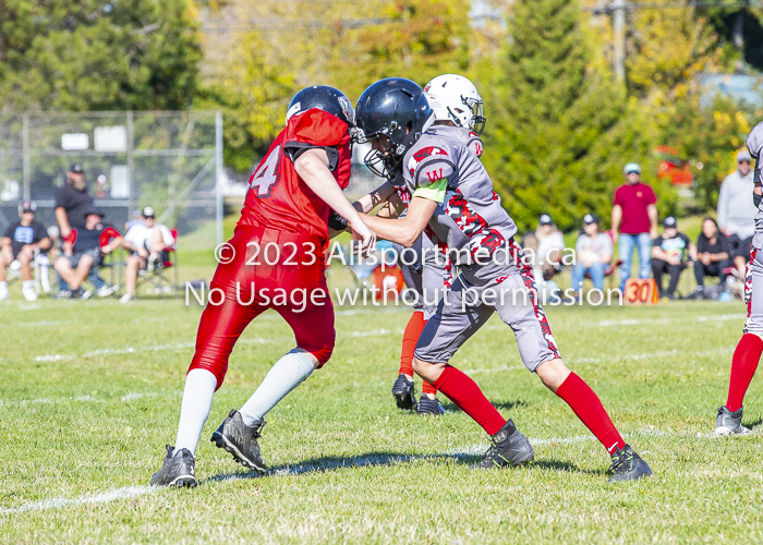 Westshore warriors Harwood Dawgs  VICFA