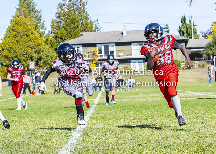 Westshore warriors Harwood Dawgs  VICFA