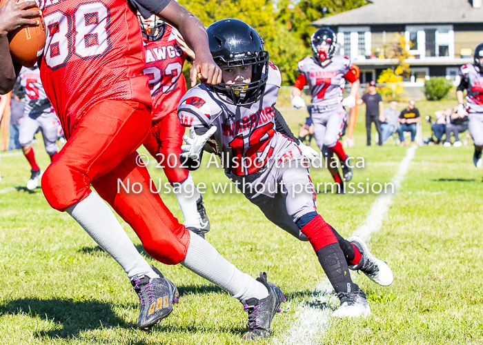 Westshore warriors Harwood Dawgs  VICFA