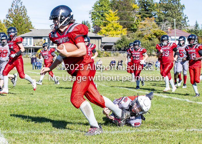 Westshore warriors Harwood Dawgs  VICFA