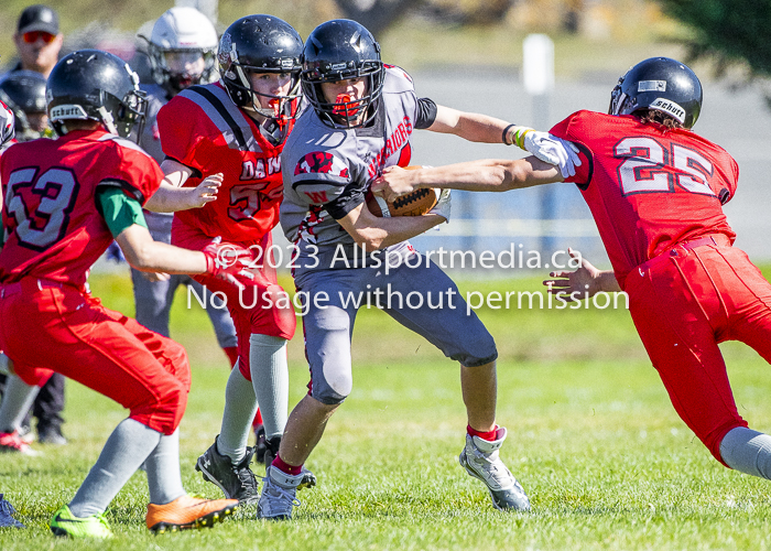 Westshore warriors Harwood Dawgs  VICFA