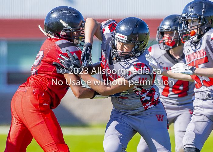 Westshore warriors Harwood Dawgs  VICFA