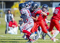 Westshore-warriors-Harwood-Dawgs-VICFA