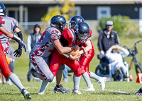 Westshore-warriors-Harwood-Dawgs-VICFA