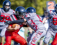 Westshore-warriors-Harwood-Dawgs-VICFA