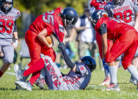 Westshore-warriors-Harwood-Dawgs-VICFA