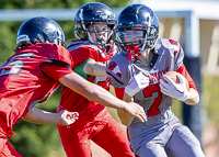 Westshore-warriors-Harwood-Dawgs-VICFA