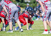 Westshore-warriors-Harwood-Dawgs-VICFA