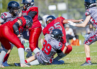 Westshore-warriors-Harwood-Dawgs-VICFA