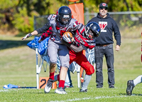 Westshore-warriors-Harwood-Dawgs-VICFA