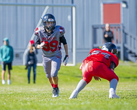 Westshore-warriors-Harwood-Dawgs-VICFA