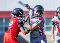 Westshore-warriors-Harwood-Dawgs-VICFA