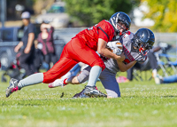 Westshore-warriors-Harwood-Dawgs-VICFA