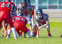 Westshore-warriors-Harwood-Dawgs-VICFA