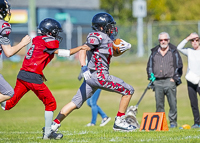 Westshore-warriors-Harwood-Dawgs-VICFA