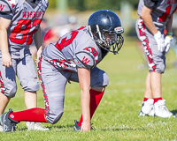 Westshore-warriors-Harwood-Dawgs-VICFA