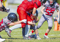 Westshore-warriors-Harwood-Dawgs-VICFA