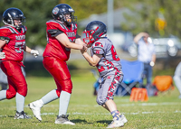 Westshore-warriors-Harwood-Dawgs-VICFA