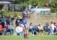 Westshore-warriors-Harwood-Dawgs-VICFA