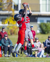 Westshore-warriors-Harwood-Dawgs-VICFA