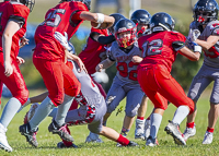 Westshore-warriors-Harwood-Dawgs-VICFA
