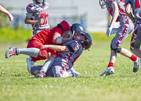 Westshore-warriors-Harwood-Dawgs-VICFA
